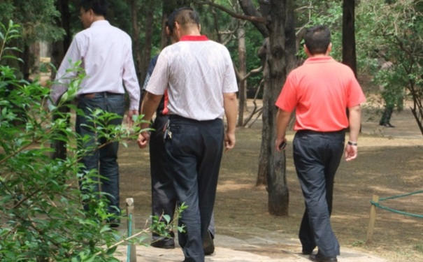 饭后马上就可以去散步吗？饭后马上散步有好处吗？(1)