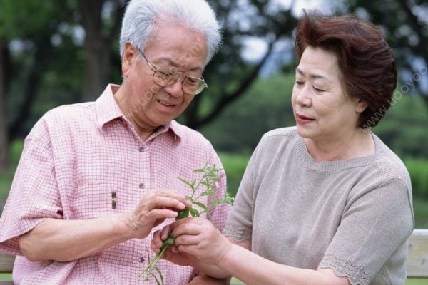 孙子牵95岁奶奶散步，老年人春天适合哪些运动？(4)