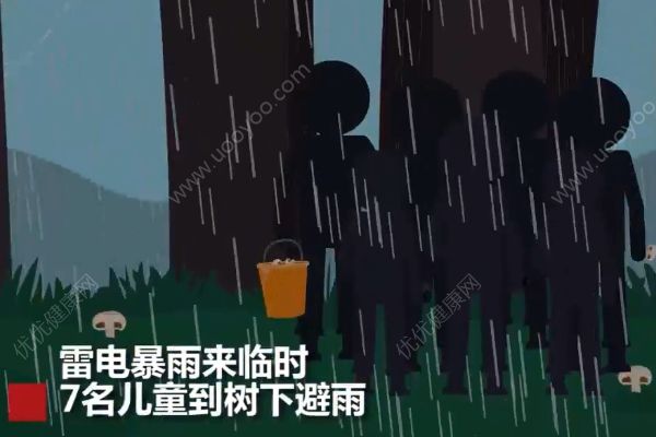 云南7名儿童上山捡菌子，树下避雨时不幸遭雷击(1)