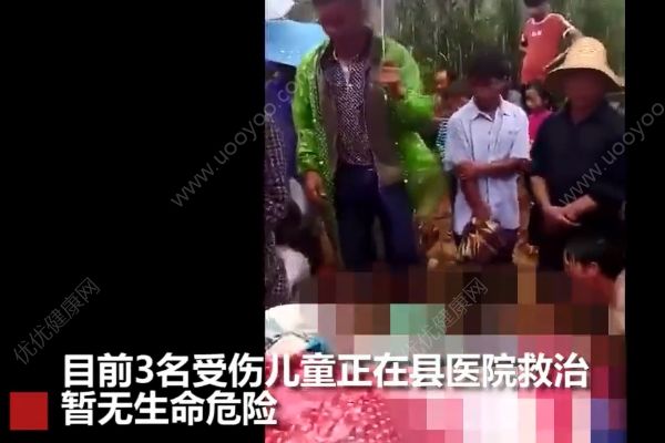 云南7名儿童上山捡菌子，树下避雨时不幸遭雷击(3)