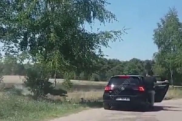 怀抱婴儿在野生动物园下车，被猎豹围攻险送命(3)