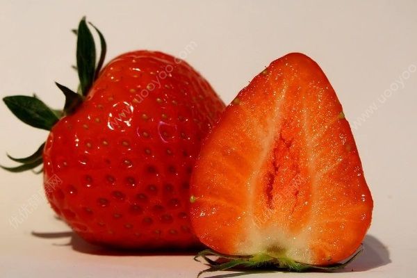 草莓有哪些保健功效？草莓可以预防脱发你知道吗？(3)