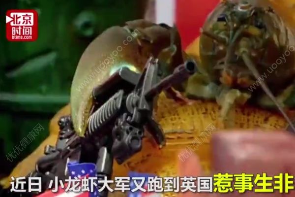 10万小龙虾围攻英国水坝，政府斥巨资展开防御(1)