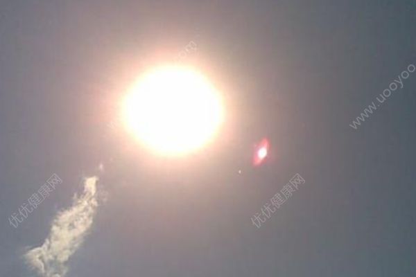 加拿大高温致死：热浪已在加拿大造成至少33人死亡(2)