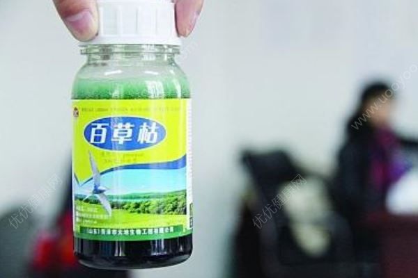 丈夫连发病危通知，妻子依然礼貌微笑！真相骇人(3)