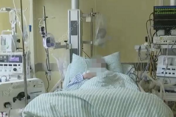 解暑梨汤水成
