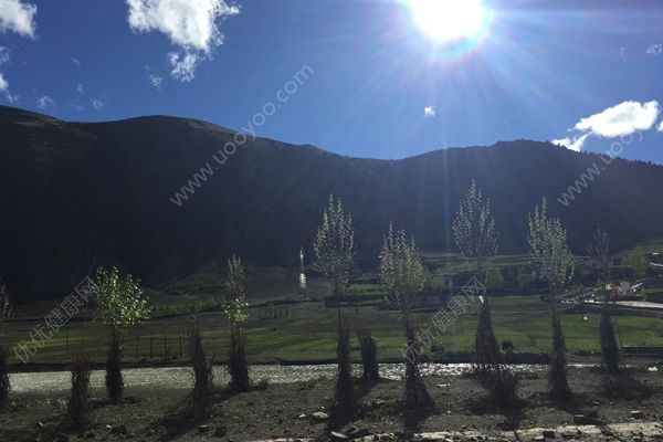 女子高原嗨歌倒地，唱歌激动致脑部缺氧突发脑水肿(2)