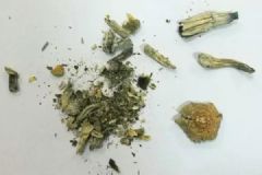 吃了蘑菇产生迷幻效果，乐队成员带它乘火车被抓了[多图]
