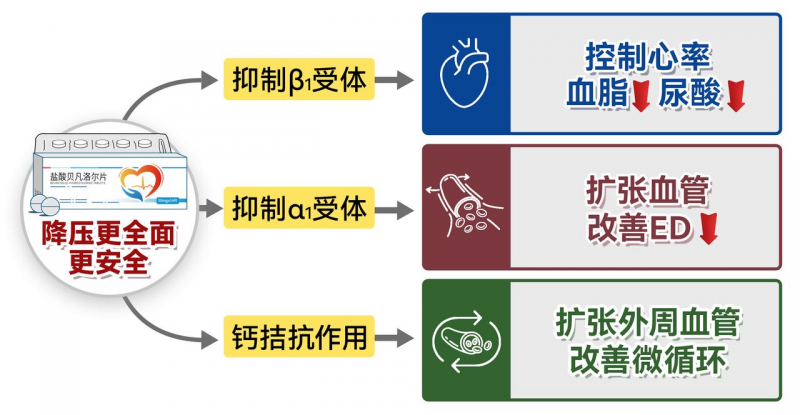 第四代β受体阻滞剂-卡理稳盐酸贝凡洛尔独特优势及真实世界研究进展	